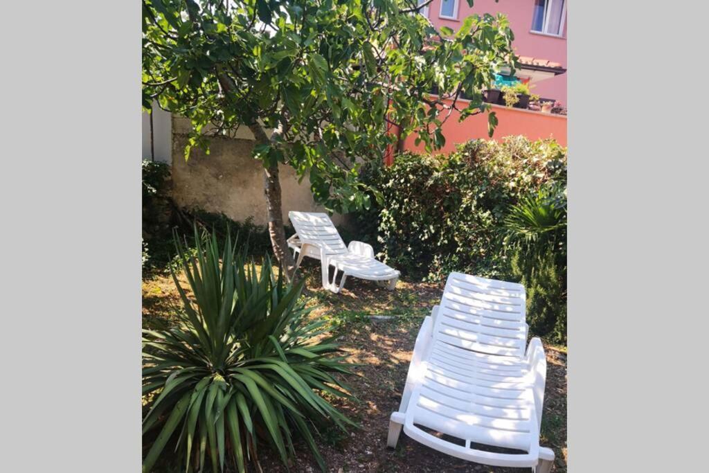 普拉Casa Di Nonna Pina, Kuca U Blizini Arene公寓 外观 照片